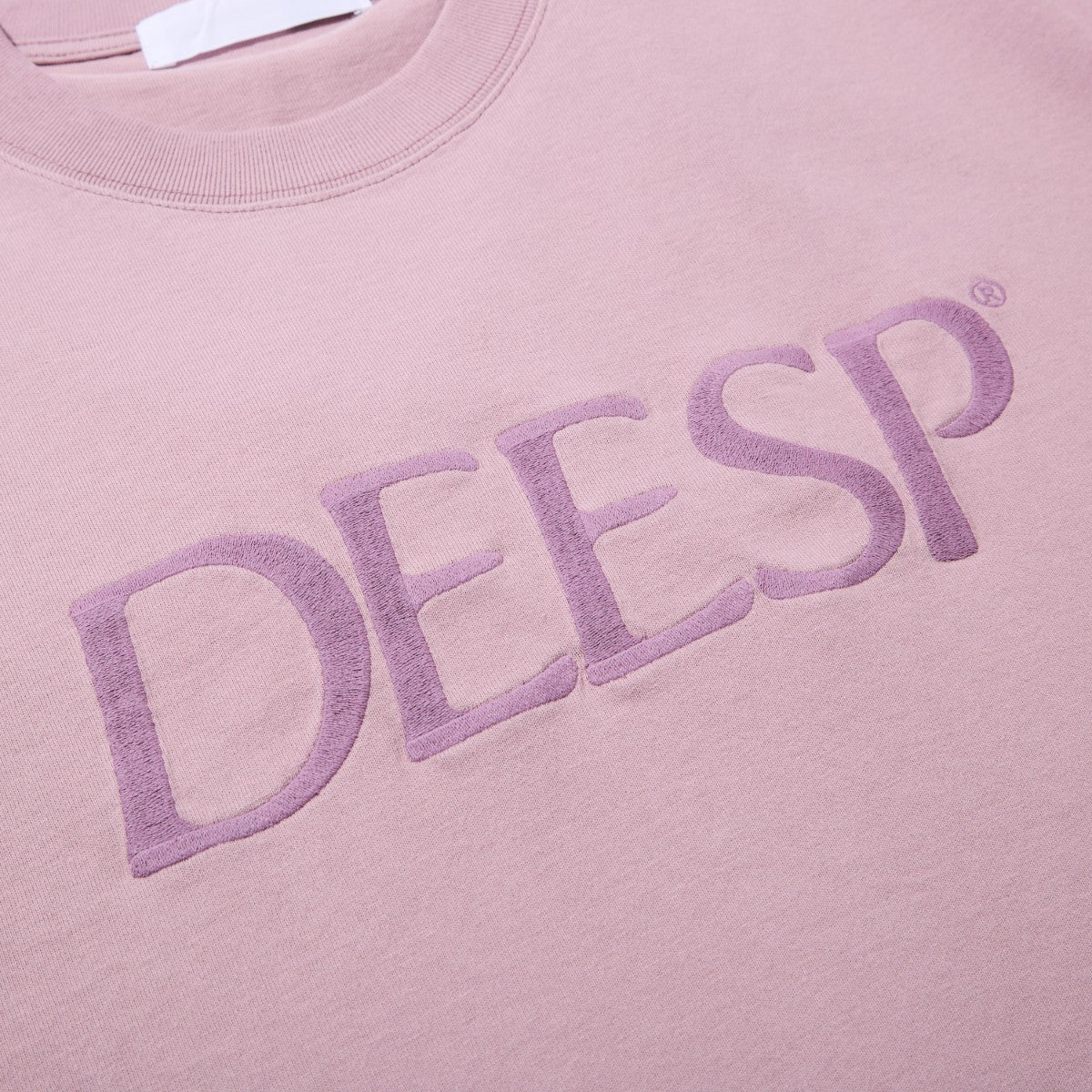 Diaspora skateboards Embroidererd LZR Tee ディアスポラ スケートボード エンブロイダードエルゼットアールティー DSP-26SS-ST01【メンズ メンズTシャツ スポーツモチーフ 刺繍ロゴ ヘビーウェイト 空紡糸 26SS】