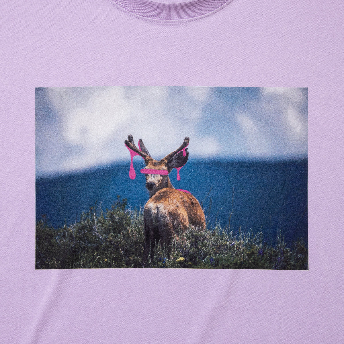 NON TOKYO DEER PRINT NO-SLEEVE T-SHIRT ノントーキョー ディアー プリント ノースリーブ Tシャツ NON-26S-0430【レディース グラフィック ノースリーブ 26SS】