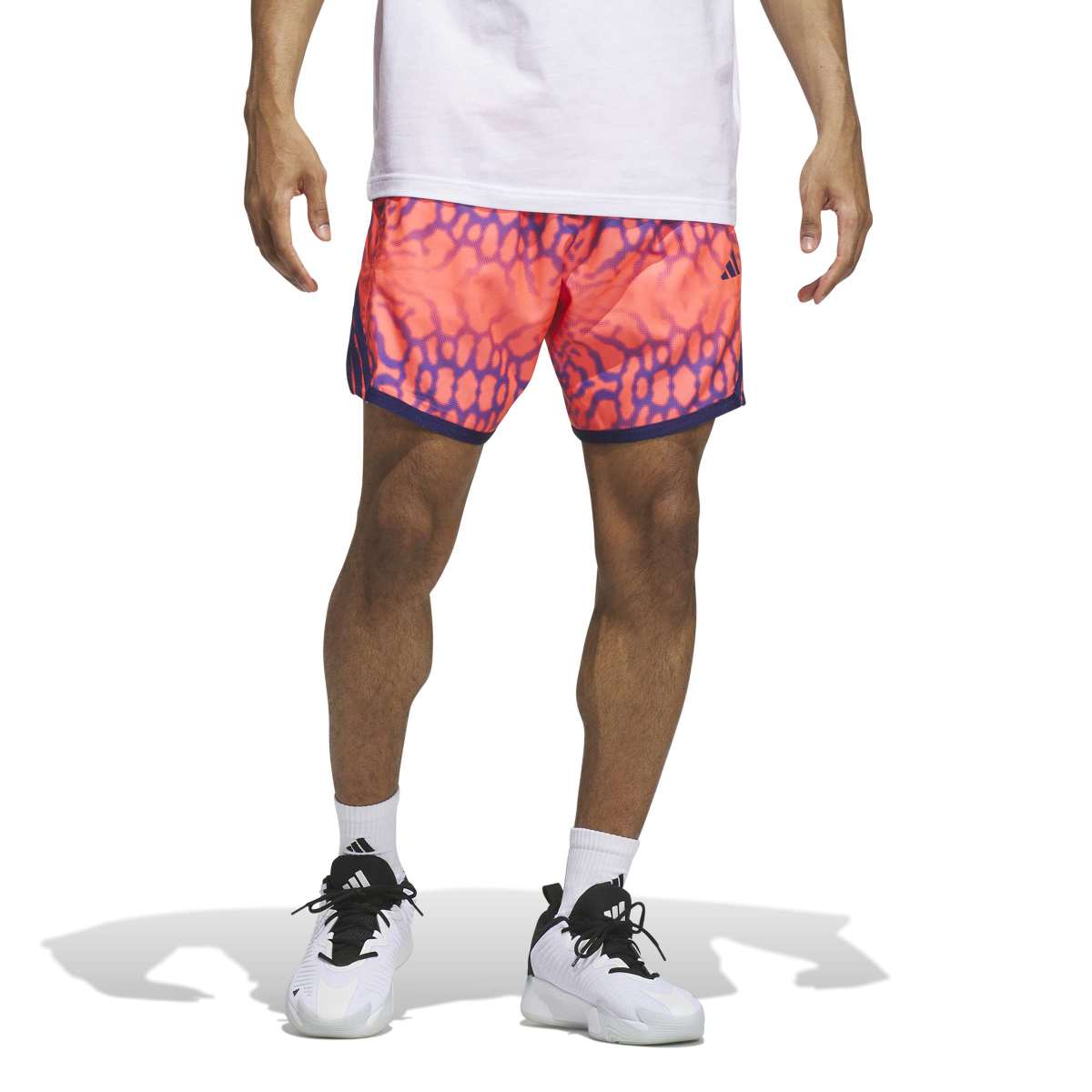 ADIDAS CRAZY LIGHT GRAPHIC SHORTS アディダス クレイジーライト グラフィック ショーツ ZS361【メンズ バスケットボールショーツ スポーツショーツ 吸汗速乾 通気性 26FW】