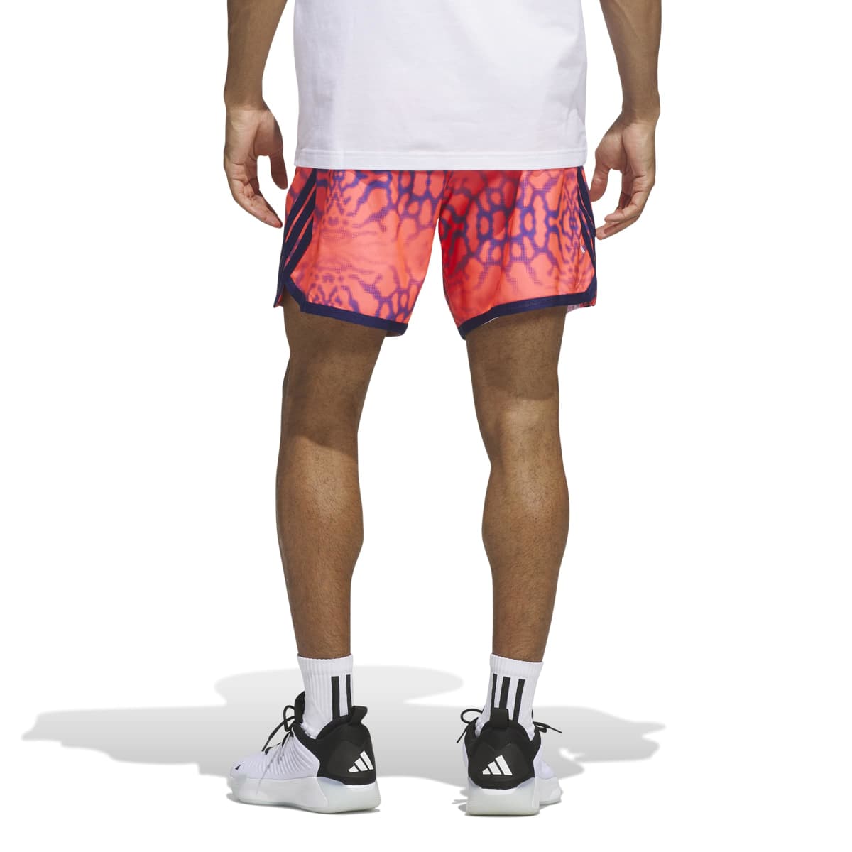 ADIDAS CRAZY LIGHT GRAPHIC SHORTS ZS361 – Kinetics（キネティクス