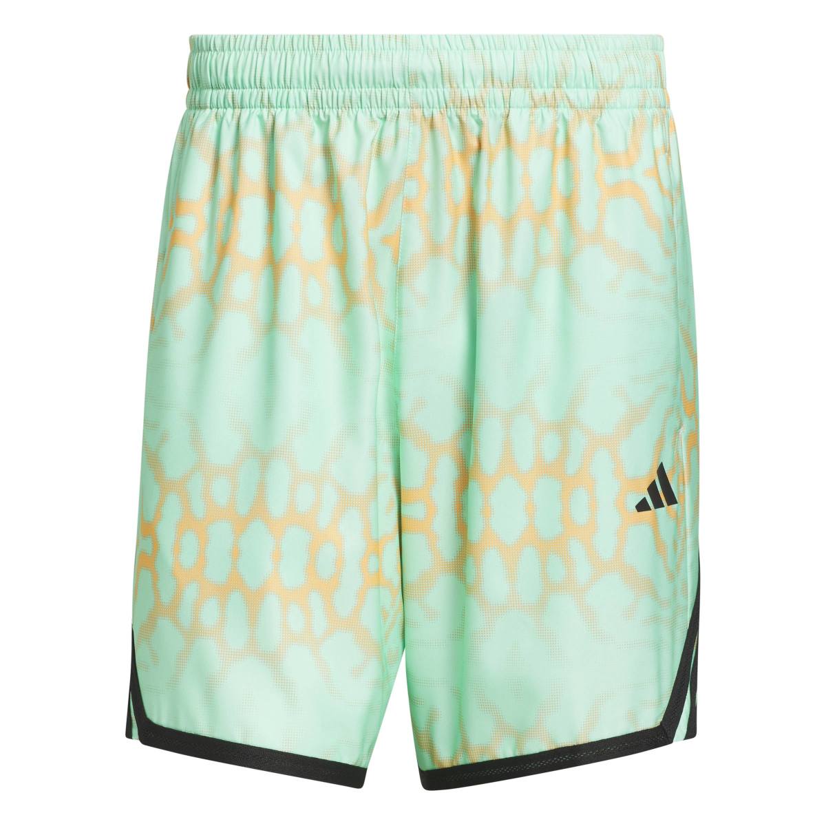 ADIDAS CRAZY LIGHT GRAPHIC SHORTS ZS361 – Kinetics（キネティクス