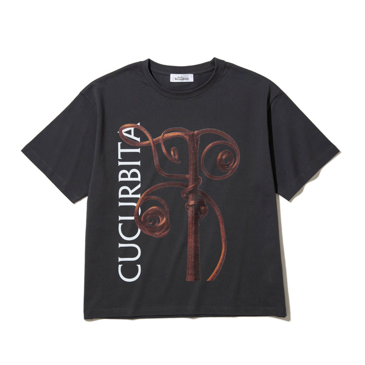 Kinetics WOMEN CUCURBITA T-Shirt キネティクスウィメン キューカービタ Tシャツ 26SS-KBF-001【レディース 半袖 フォトTシャツ 綿素材 26SS】