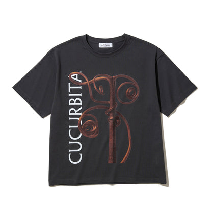 Kinetics WOMEN CUCURBITA T-Shirt キネティクスウィメン キューカービタ Tシャツ 26SS-KBF-001【レディース 半袖 フォトTシャツ 綿素材 26SS】