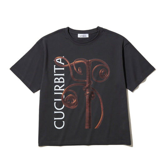 Kinetics WOMEN CUCURBITA T-Shirt キネティクスウィメン キューカービタ Tシャツ 26SS-KBF-001【レディース 半袖 フォトTシャツ 綿素材 26SS】