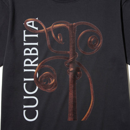 Kinetics WOMEN CUCURBITA T-Shirt キネティクスウィメン キューカービタ Tシャツ 26SS-KBF-001【レディース 半袖 フォトTシャツ 綿素材 26SS】