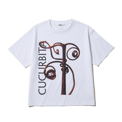 Kinetics WOMEN CUCURBITA T-Shirt キネティクスウィメン キューカービタ Tシャツ 26SS-KBF-001【レディース 半袖 フォトTシャツ 綿素材 26SS】