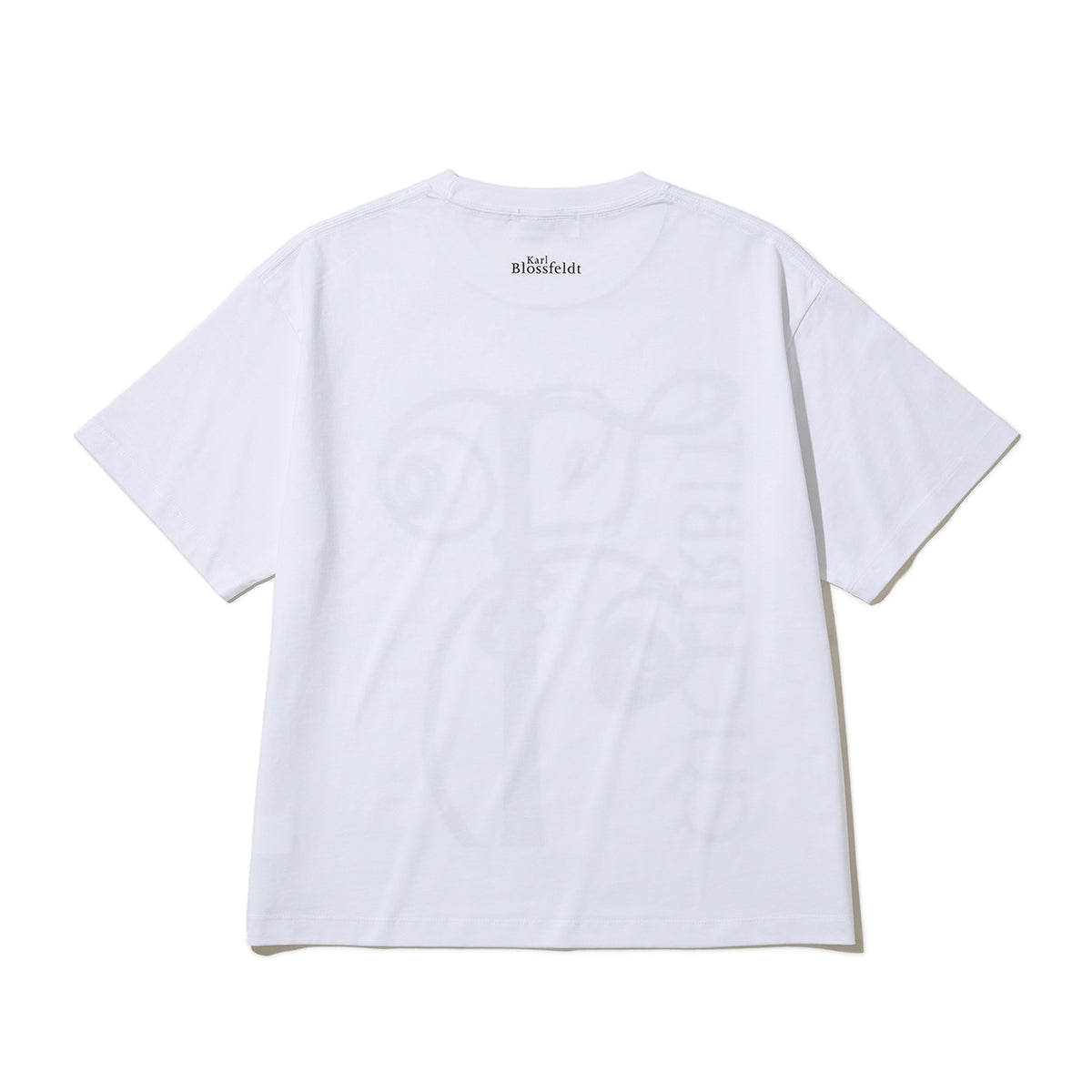 Kinetics WOMEN CUCURBITA T-Shirt キネティクスウィメン キューカービタ Tシャツ 26SS-KBF-001【レディース 半袖 フォトTシャツ 綿素材 26SS】