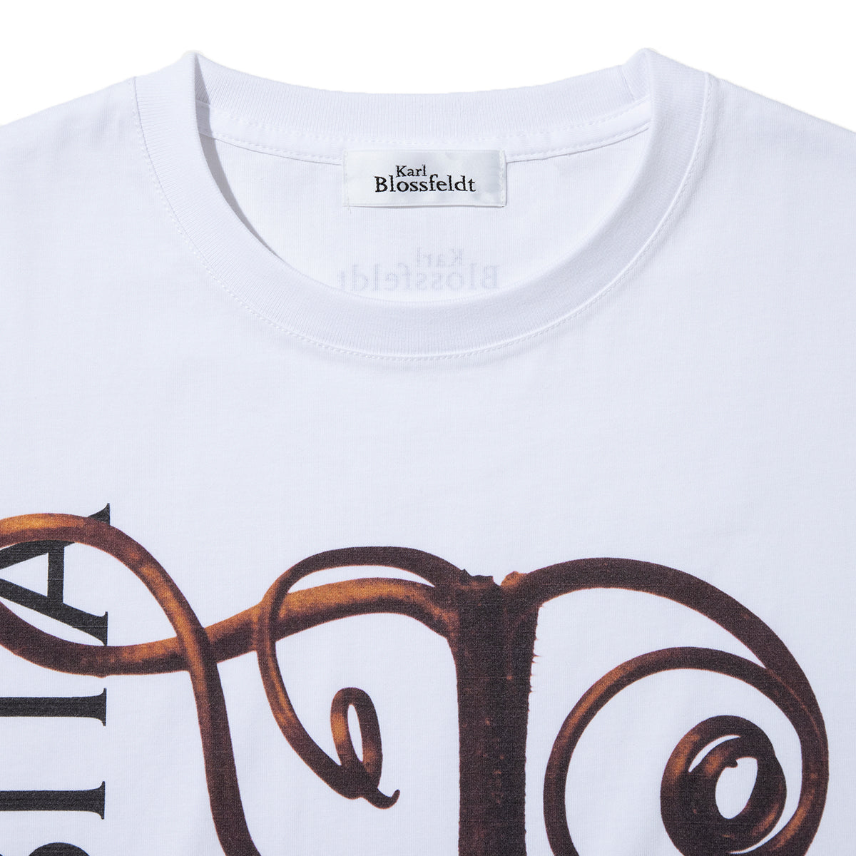 Kinetics WOMEN CUCURBITA T-Shirt キネティクスウィメン キューカービタ Tシャツ 26SS-KBF-001【レディース 半袖 フォトTシャツ 綿素材 26SS】