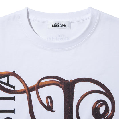 Kinetics WOMEN CUCURBITA T-Shirt キネティクスウィメン キューカービタ Tシャツ 26SS-KBF-001【レディース 半袖 フォトTシャツ 綿素材 26SS】