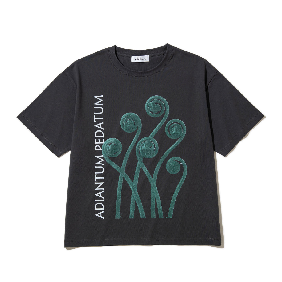 Kinetics WOMEN ADIANTUM PEDATUM T-Shirt キネティクスウィメン アディアントゥム ペダトゥム Tシャツ 26SS-KBF-004【レディース 半袖 フォトTシャツ 綿素材 26SS】