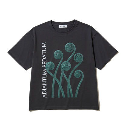 Kinetics WOMEN ADIANTUM PEDATUM T-Shirt キネティクスウィメン アディアントゥム ペダトゥム Tシャツ 26SS-KBF-004【レディース 半袖 フォトTシャツ 綿素材 26SS】