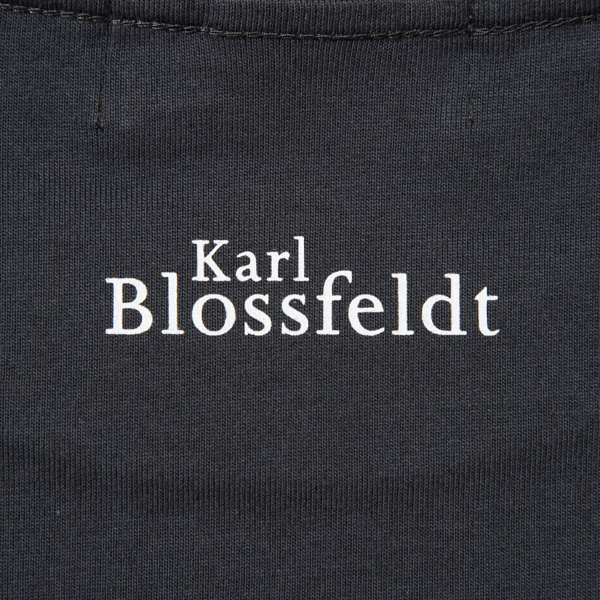 Kinetics WOMEN ADIANTUM PEDATUM T-Shirt キネティクスウィメン アディアントゥム ペダトゥム Tシャツ 26SS-KBF-004【レディース 半袖 フォトTシャツ 綿素材 26SS】
