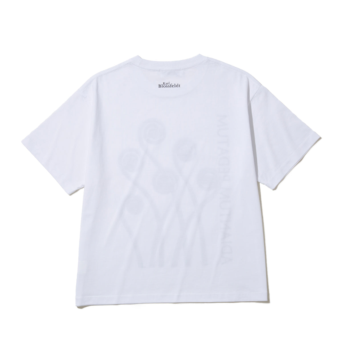 Kinetics WOMEN ADIANTUM PEDATUM T-Shirt キネティクスウィメン アディアントゥム ペダトゥム Tシャツ 26SS-KBF-004【レディース 半袖 フォトTシャツ 綿素材 26SS】