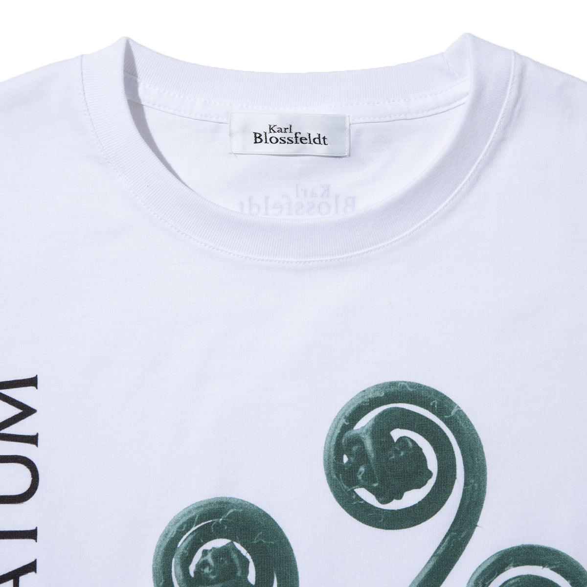 Kinetics WOMEN ADIANTUM PEDATUM T-Shirt キネティクスウィメン アディアントゥム ペダトゥム Tシャツ 26SS-KBF-004【レディース 半袖 フォトTシャツ 綿素材 26SS】