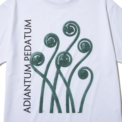 Kinetics WOMEN ADIANTUM PEDATUM T-Shirt キネティクスウィメン アディアントゥム ペダトゥム Tシャツ 26SS-KBF-004【レディース 半袖 フォトTシャツ 綿素材 26SS】