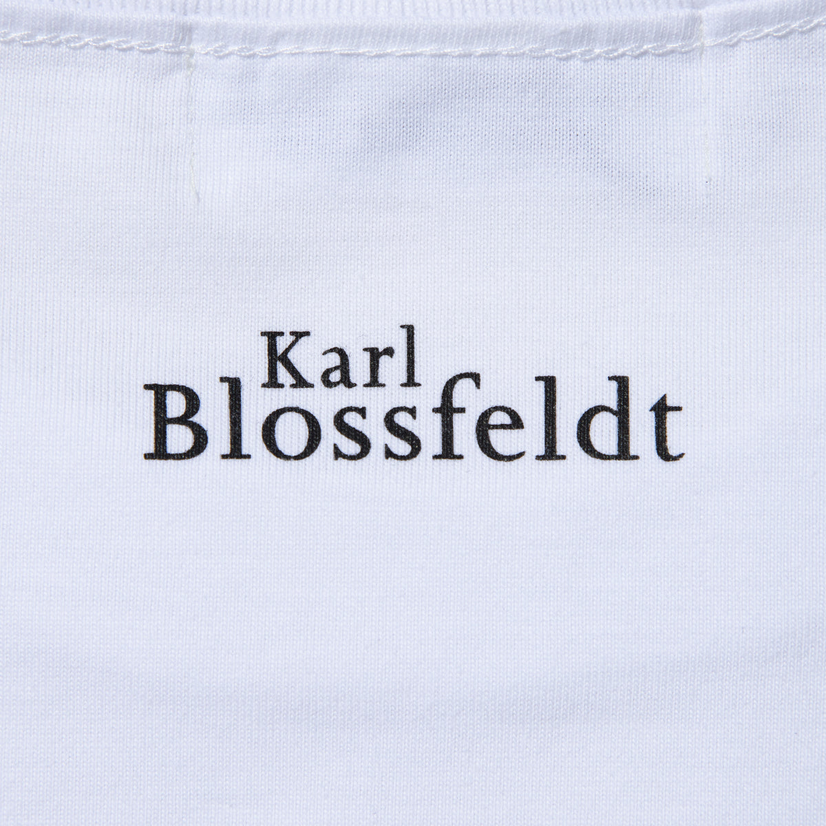 Kinetics WOMEN ADIANTUM PEDATUM T-Shirt キネティクスウィメン アディアントゥム ペダトゥム Tシャツ 26SS-KBF-004【レディース 半袖 フォトTシャツ 綿素材 26SS】