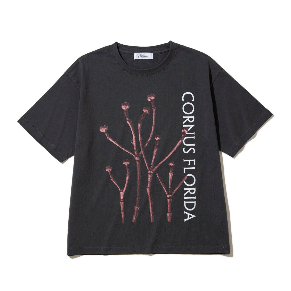 Kinetics WOMEN CORNUS FLORIDA T-Shirt キネティクスウィメン コーナス フロリダ Tシャツ 26SS-KBF-005【レディース 半袖 フォトTシャツ 綿素材 26SS】