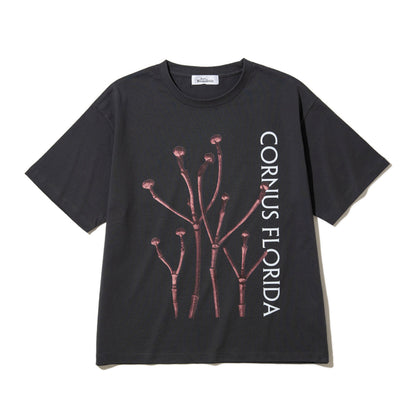 Kinetics WOMEN CORNUS FLORIDA T-Shirt キネティクスウィメン コーナス フロリダ Tシャツ 26SS-KBF-005【レディース 半袖 フォトTシャツ 綿素材 26SS】