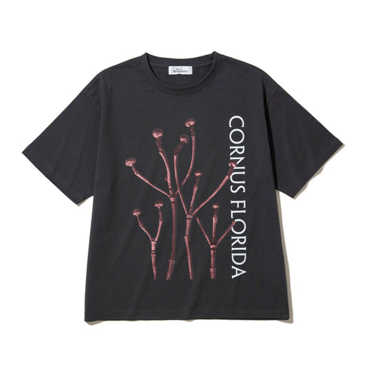 Kinetics WOMEN CORNUS FLORIDA T-Shirt キネティクスウィメン コーナス フロリダ Tシャツ 26SS-KBF-005【レディース 半袖 フォトTシャツ 綿素材 26SS】