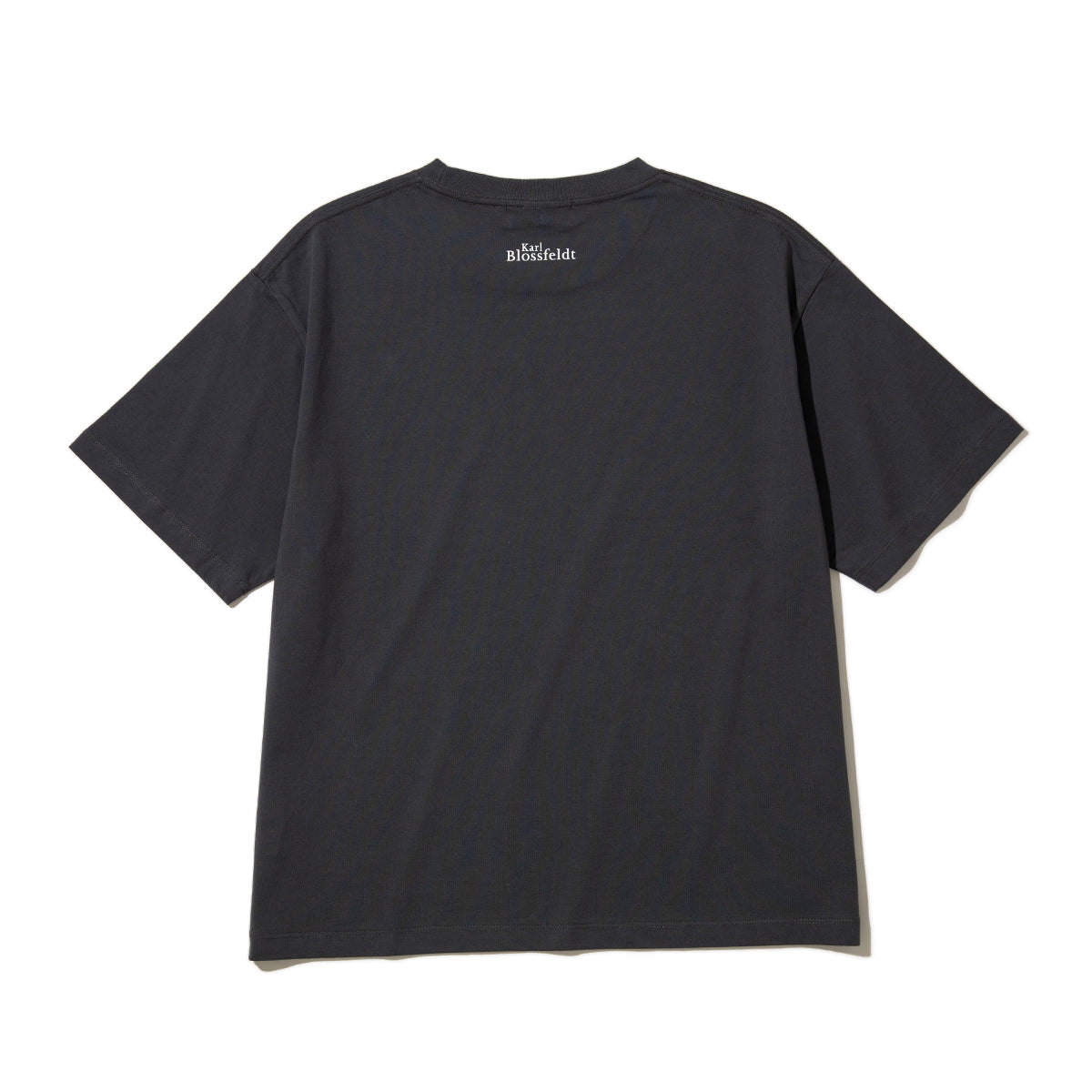 Kinetics WOMEN CORNUS FLORIDA T-Shirt キネティクスウィメン コーナス フロリダ Tシャツ 26SS-KBF-005【レディース 半袖 フォトTシャツ 綿素材 26SS】