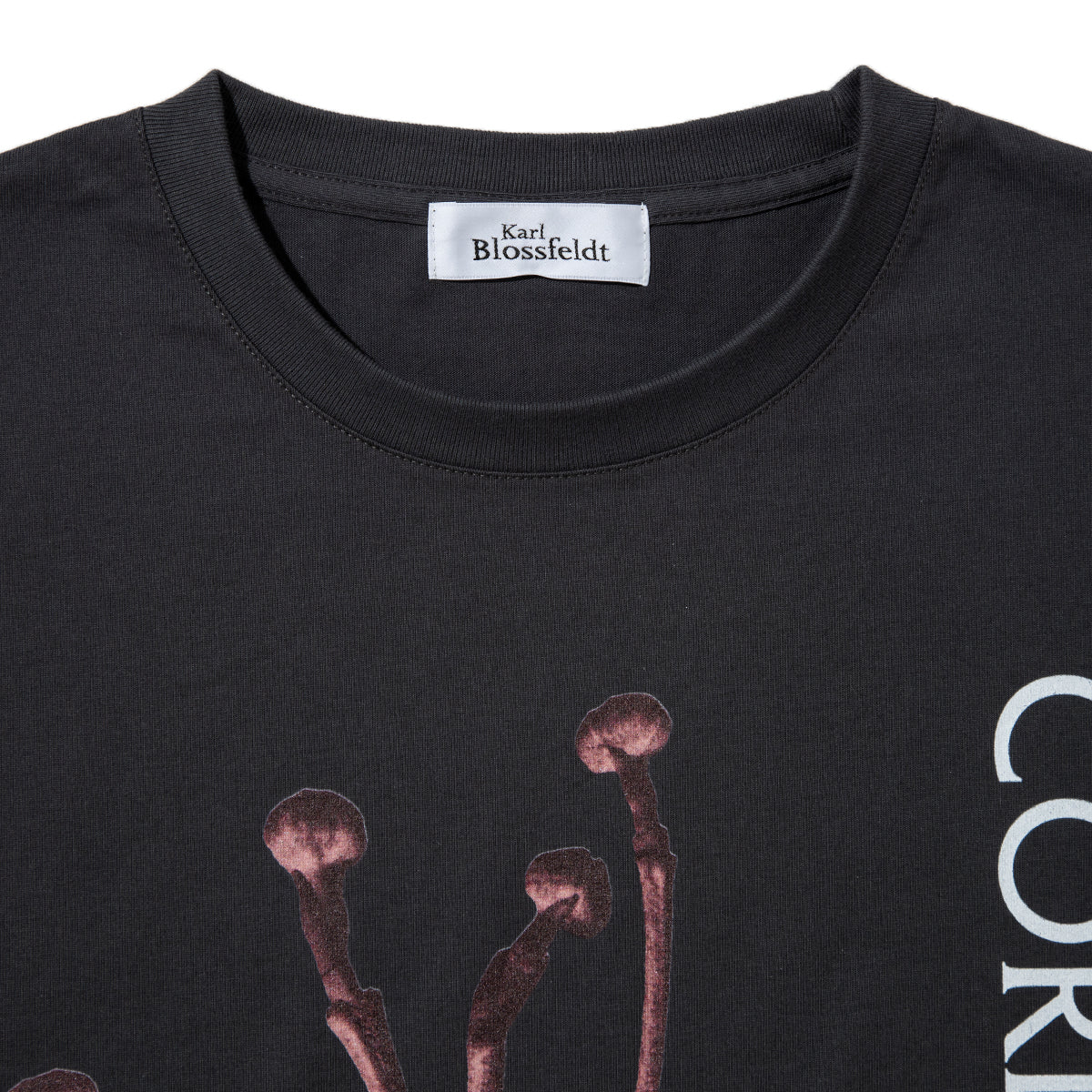 Kinetics WOMEN CORNUS FLORIDA T-Shirt キネティクスウィメン コーナス フロリダ Tシャツ 26SS-KBF-005【レディース 半袖 フォトTシャツ 綿素材 26SS】
