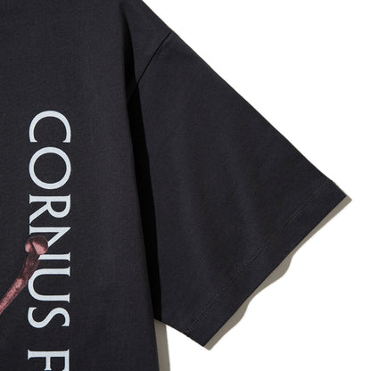 Kinetics WOMEN CORNUS FLORIDA T-Shirt キネティクスウィメン コーナス フロリダ Tシャツ 26SS-KBF-005【レディース 半袖 フォトTシャツ 綿素材 26SS】