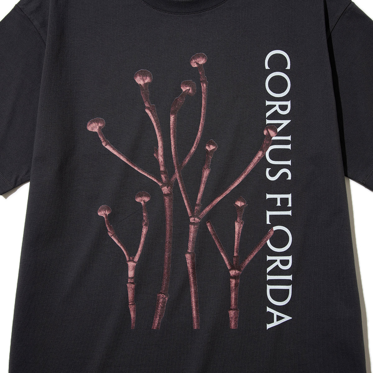 Kinetics WOMEN CORNUS FLORIDA T-Shirt キネティクスウィメン コーナス フロリダ Tシャツ 26SS-KBF-005【レディース 半袖 フォトTシャツ 綿素材 26SS】