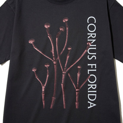 Kinetics WOMEN CORNUS FLORIDA T-Shirt キネティクスウィメン コーナス フロリダ Tシャツ 26SS-KBF-005【レディース 半袖 フォトTシャツ 綿素材 26SS】