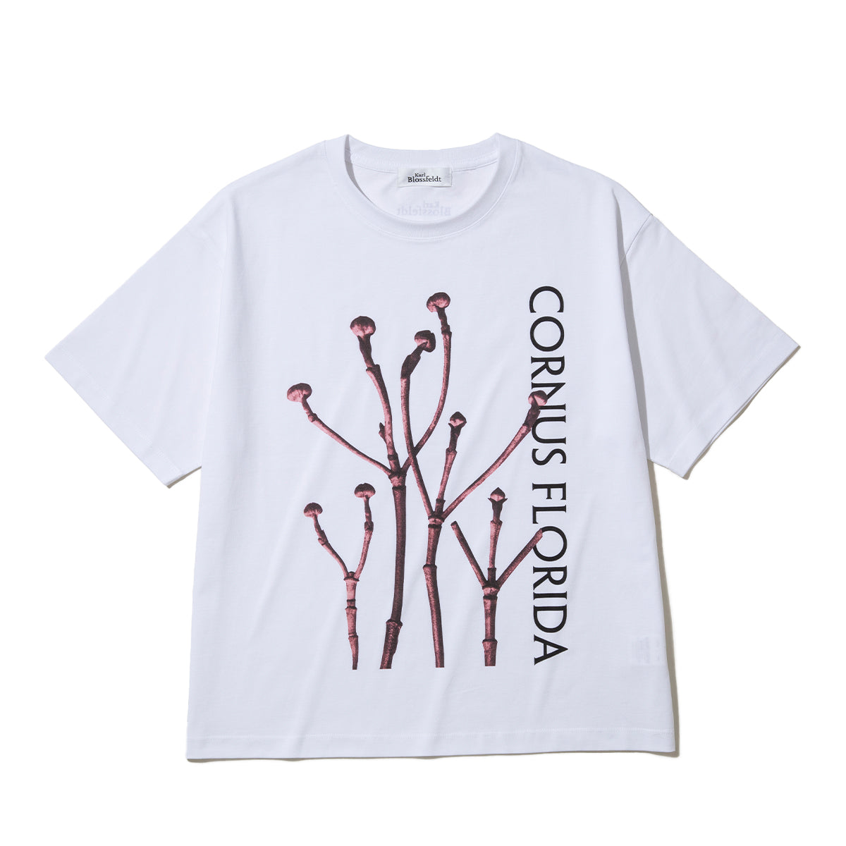 Kinetics WOMEN CORNUS FLORIDA T-Shirt キネティクスウィメン コーナス フロリダ Tシャツ 26SS-KBF-005【レディース 半袖 フォトTシャツ 綿素材 26SS】