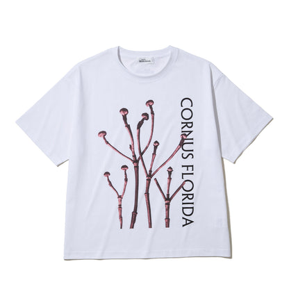 Kinetics WOMEN CORNUS FLORIDA T-Shirt キネティクスウィメン コーナス フロリダ Tシャツ 26SS-KBF-005【レディース 半袖 フォトTシャツ 綿素材 26SS】