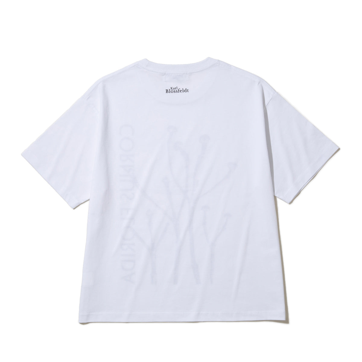 Kinetics WOMEN CORNUS FLORIDA T-Shirt キネティクスウィメン コーナス フロリダ Tシャツ 26SS-KBF-005【レディース 半袖 フォトTシャツ 綿素材 26SS】