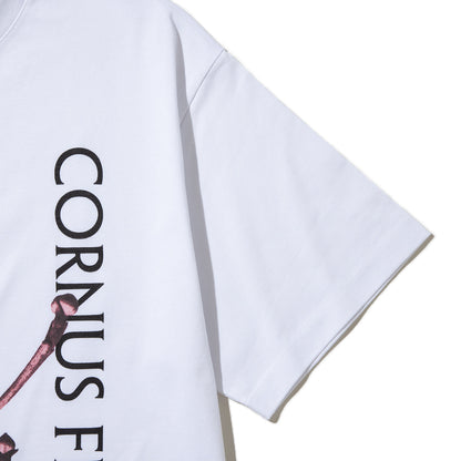 Kinetics WOMEN CORNUS FLORIDA T-Shirt キネティクスウィメン コーナス フロリダ Tシャツ 26SS-KBF-005【レディース 半袖 フォトTシャツ 綿素材 26SS】