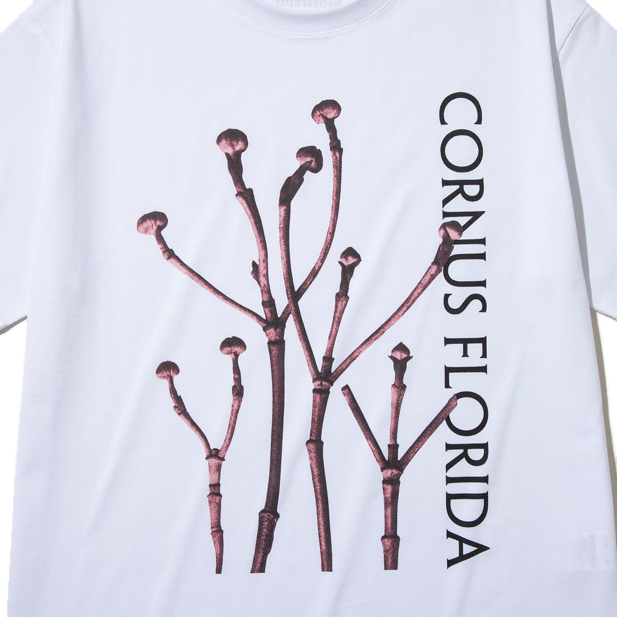 Kinetics WOMEN CORNUS FLORIDA T-Shirt キネティクスウィメン コーナス フロリダ Tシャツ 26SS-KBF-005【レディース 半袖 フォトTシャツ 綿素材 26SS】