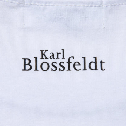Kinetics WOMEN CORNUS FLORIDA T-Shirt キネティクスウィメン コーナス フロリダ Tシャツ 26SS-KBF-005【レディース 半袖 フォトTシャツ 綿素材 26SS】