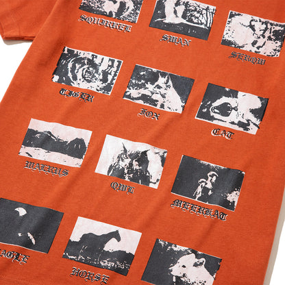 NON TOKYO Print H/S T-Shirt Animal ノントーキョー プリント ハーフスリーブ Tシャツ アニマル NON-26A-0931【レディース 半袖Tシャツ プリント グラフィック 動物 26FW】