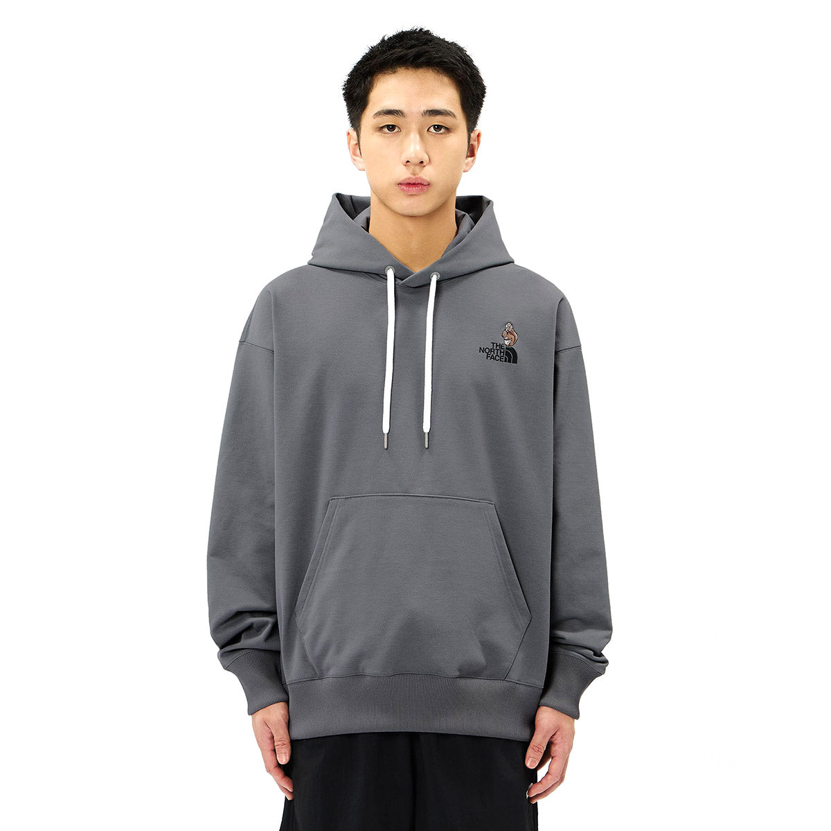 THE NORTH FACE Zoo Picker Hoodie ザ・ノース・フェイス ズーピッカーフーディ NT62637【メンズ スウェットパーカー プルオーバーパーカー ロゴプリント 裏起毛 26FW】