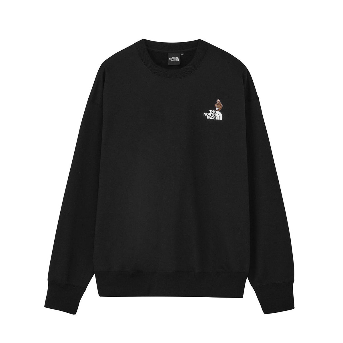 THE NORTH FACE Zoo Picker Crew ザ・ノース・フェイス ズーピッカークルー NT62638【メンズ トレーナー スウェット ロゴプリント アウトドア 長袖 26FW】