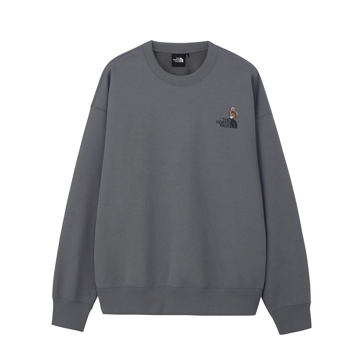 THE NORTH FACE Zoo Picker Crew ザ・ノース・フェイス ズーピッカークルー NT62638【メンズ トレーナー スウェット ロゴプリント アウトドア 長袖 26FW】