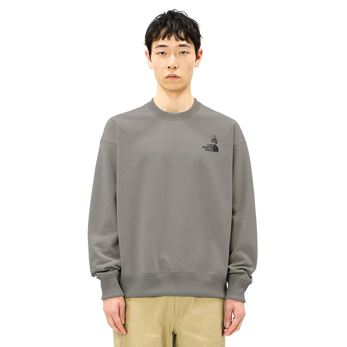 THE NORTH FACE Zoo Picker Crew ザ・ノース・フェイス ズーピッカークルー NT62638【メンズ トレーナー スウェット ロゴプリント アウトドア 長袖 26FW】