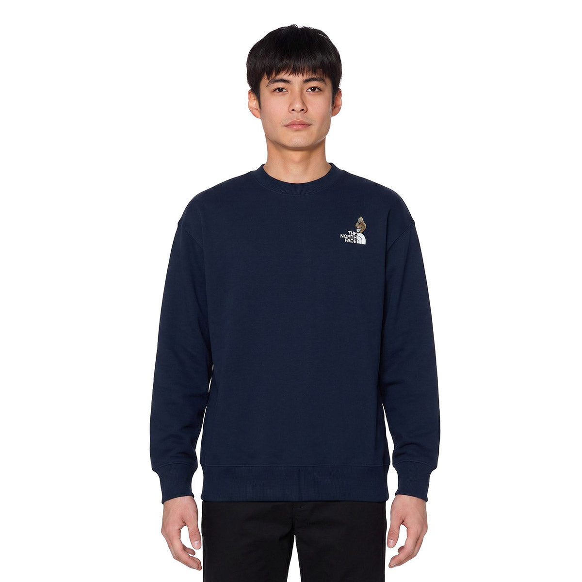 THE NORTH FACE Zoo Picker Crew ザ・ノース・フェイス ズーピッカークルー NT62638【メンズ トレーナー スウェット ロゴプリント アウトドア 長袖 26FW】