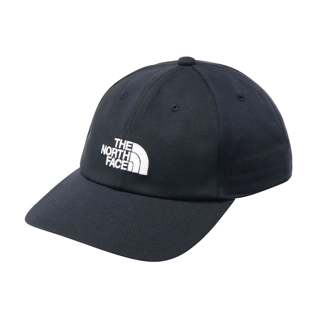 TNF Logo Cap