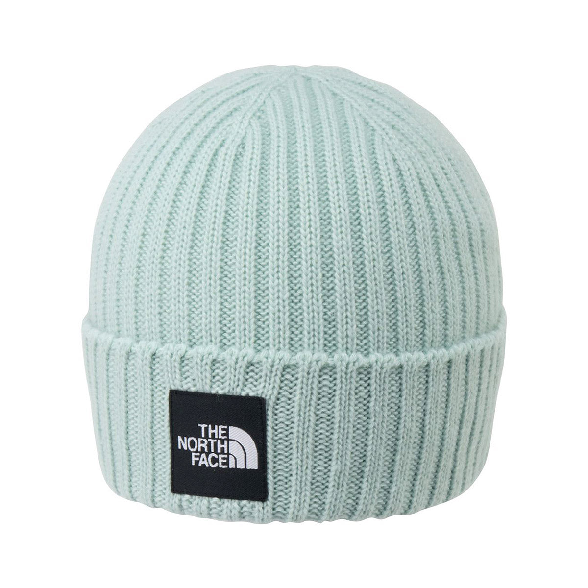 THE NORTH FACE Cappucho Lid ザ・ノース・フェイス カプッチョリッド NN42544【メンズ ビーニー ニットキャップ ホールガーメント 無縫製 シームレス アクリルニット 26FW】