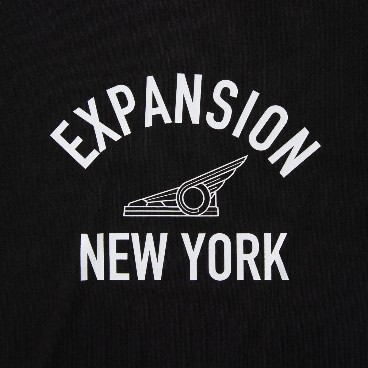 EXPANSION NEW YORK EMPIRE WING TEE エクスパンション ニューヨーク エンパイア ウィング ティー 001E【レディース グラフィックTシャツ ロゴTシャツ ウイングプリント アーチロゴ 26FW】