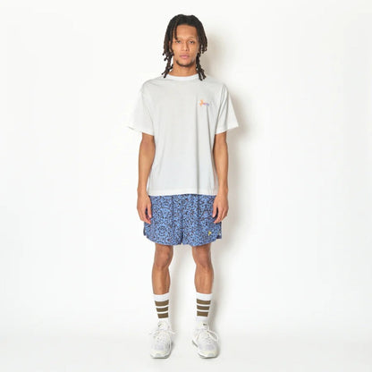 AKTR TIDELINE PHOTO T/C LOOSE TEE (WH) アクター タイドライン フォト T/C ルーズTシャツ 226-043005【メンズ 半袖 グラフィック ストリート デイリーユース 26FW】