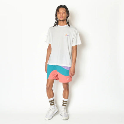 AKTR TIDELINE WAVE NYLON WIDE 5.5″ SHORTS (TL) アクター タイドライン ウェーブ ナイロン ワイド 5.5インチ ショーツ 226-046002【メンズ ショートパンツ 短パン ナイロンパンツ ワイドシルエット 26FW】