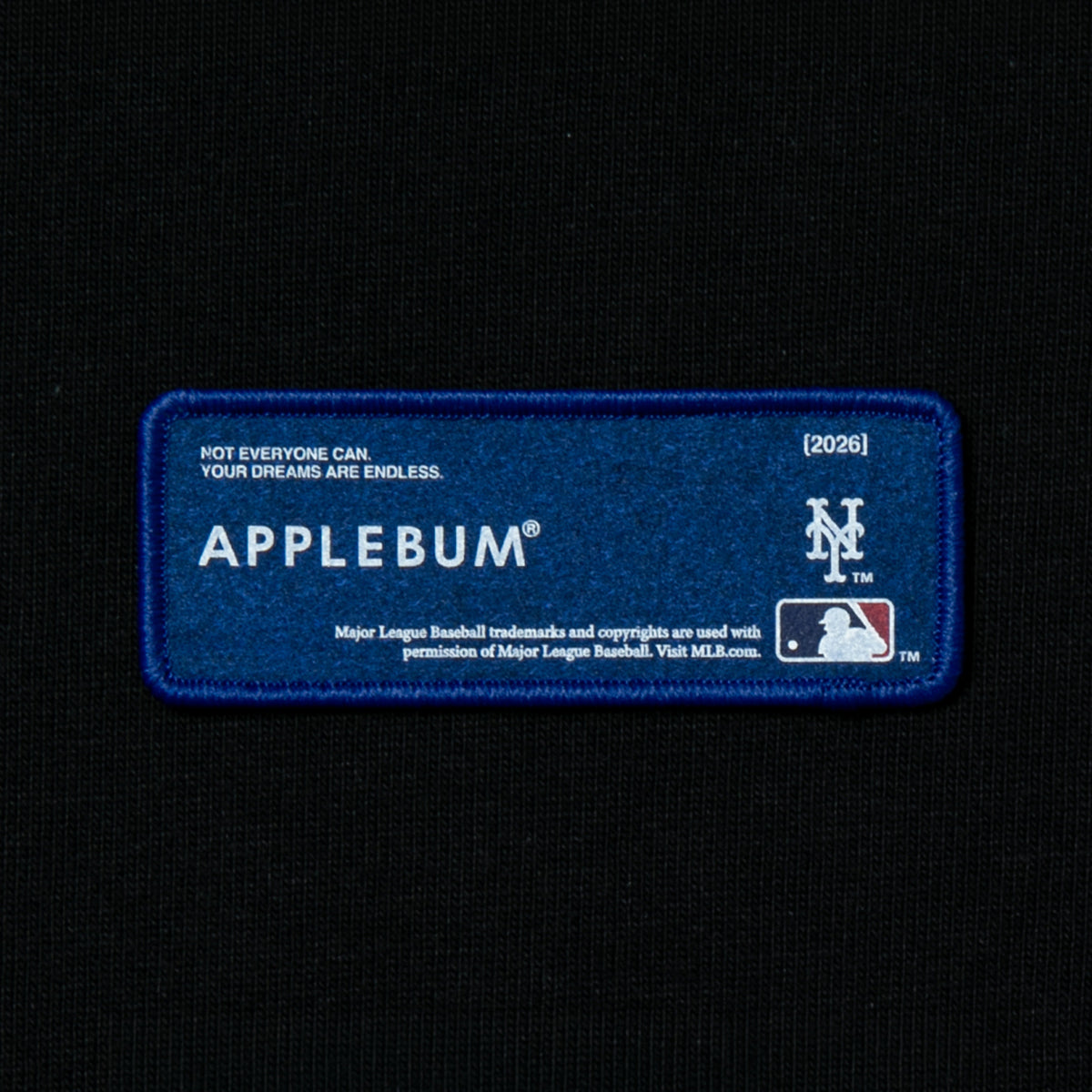APPLEBUM "New York Mets” Leaf Logo T-shirt アップルバム ニューヨーク・メッツ リーフロゴ Tシャツ ML2621101M【メンズ 半袖Tシャツ グラフィックTシャツ プリントTシャツ カットソー クルーネック 26FW】