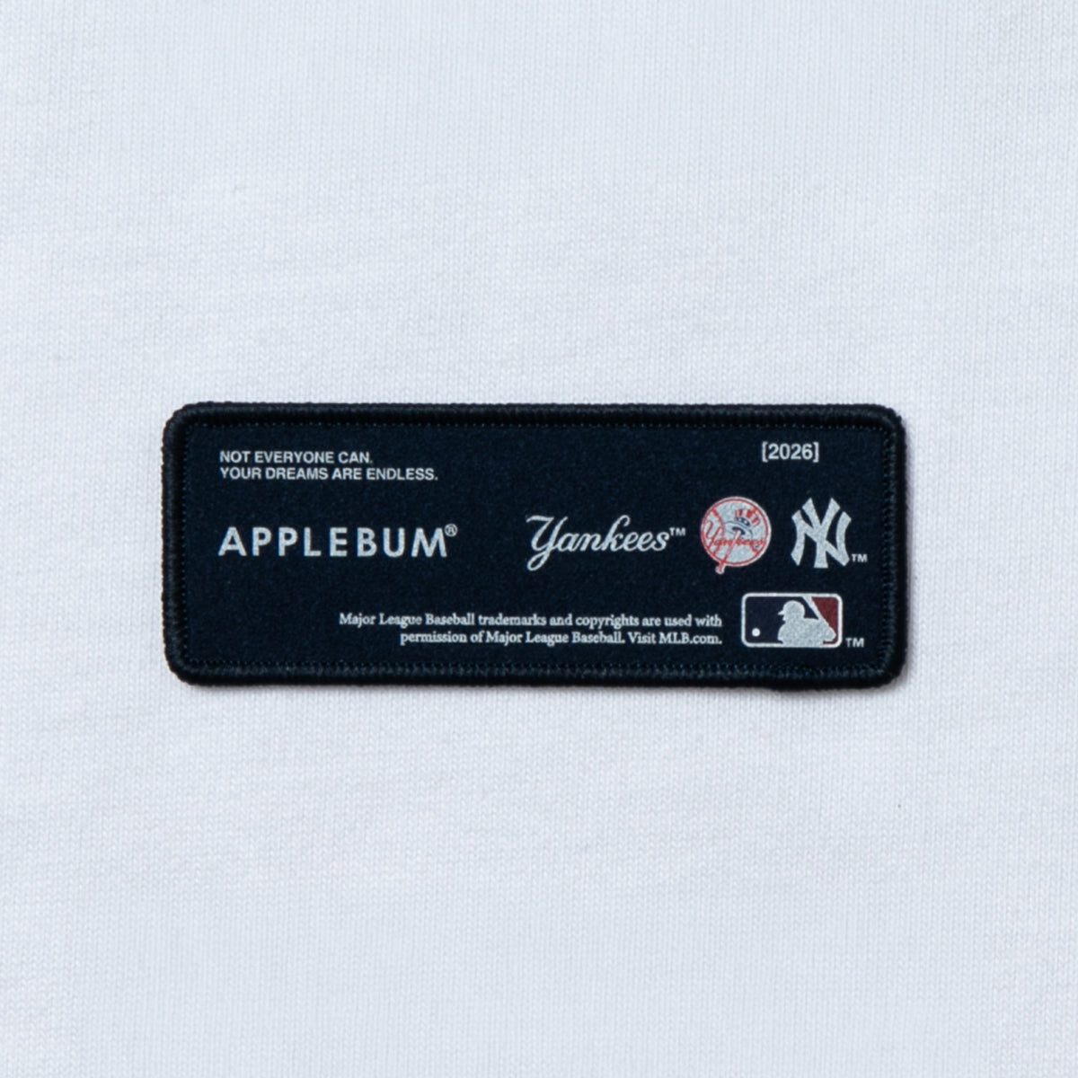 APPLEBUM “YANKEES BOYZ” T-shirt アップルバム ヤンキース ボーイズ Tシャツ ML2621108Y【メンズ 半袖Tシャツ グラフィックTシャツ プリントTシャツ カットソー クルーネック 26FW】