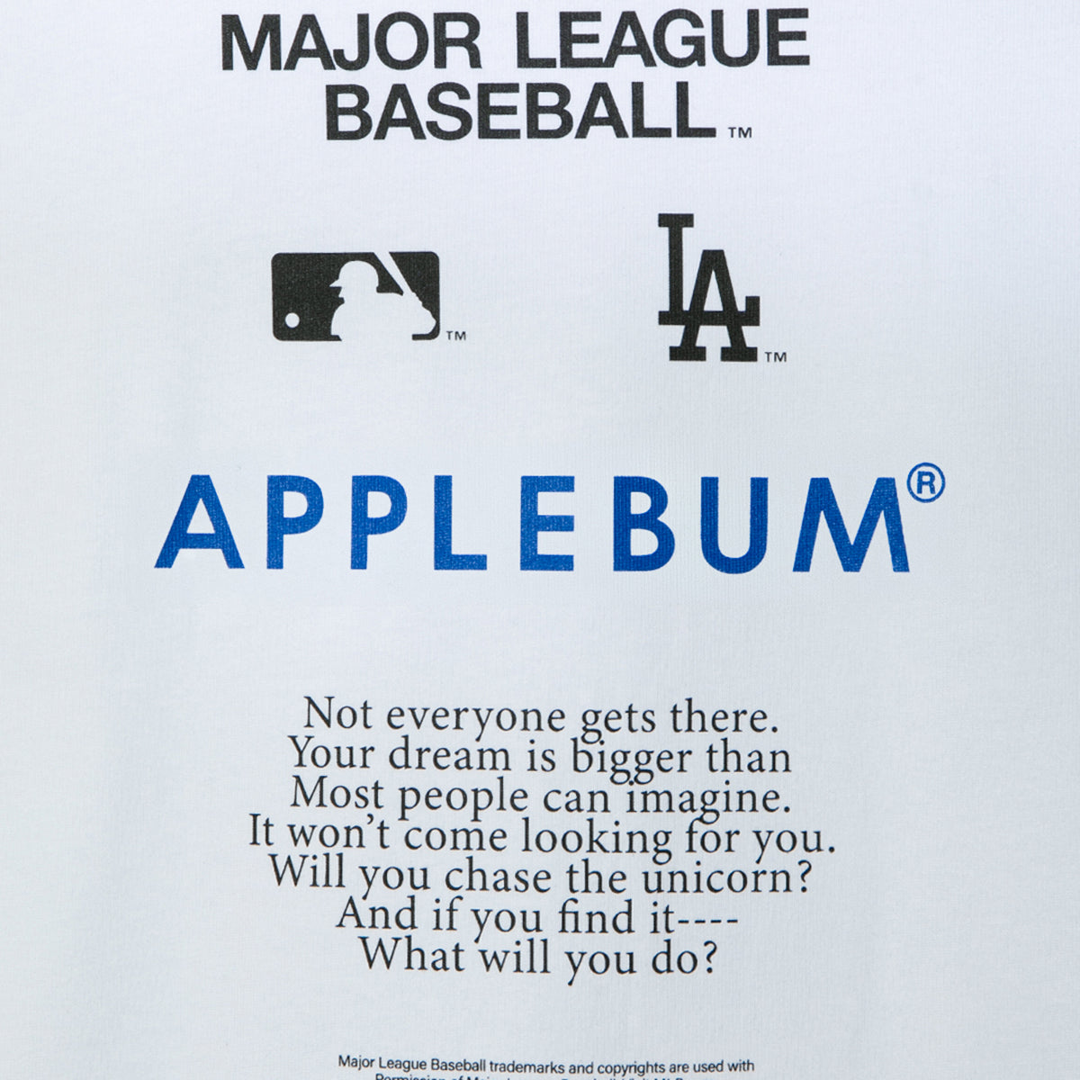 APPLEBUM “DODGERS GIRL” T-shirt アップルバム ドジャース ガール Tシャツ ML2621109L【メンズ 半袖Tシャツ グラフィックTシャツ プリントTシャツ カットソー クルーネック 26FW】
