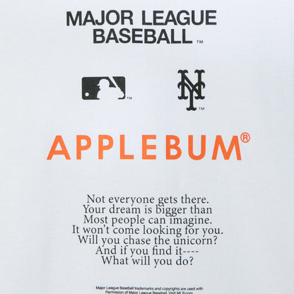 APPLEBUM “METS GIRL” T-shirt アップルバム メッツ ガール Tシャツ ML2621109M【メンズ 半袖Tシャツ グラフィックTシャツ プリントTシャツ カットソー クルーネック 26FW】