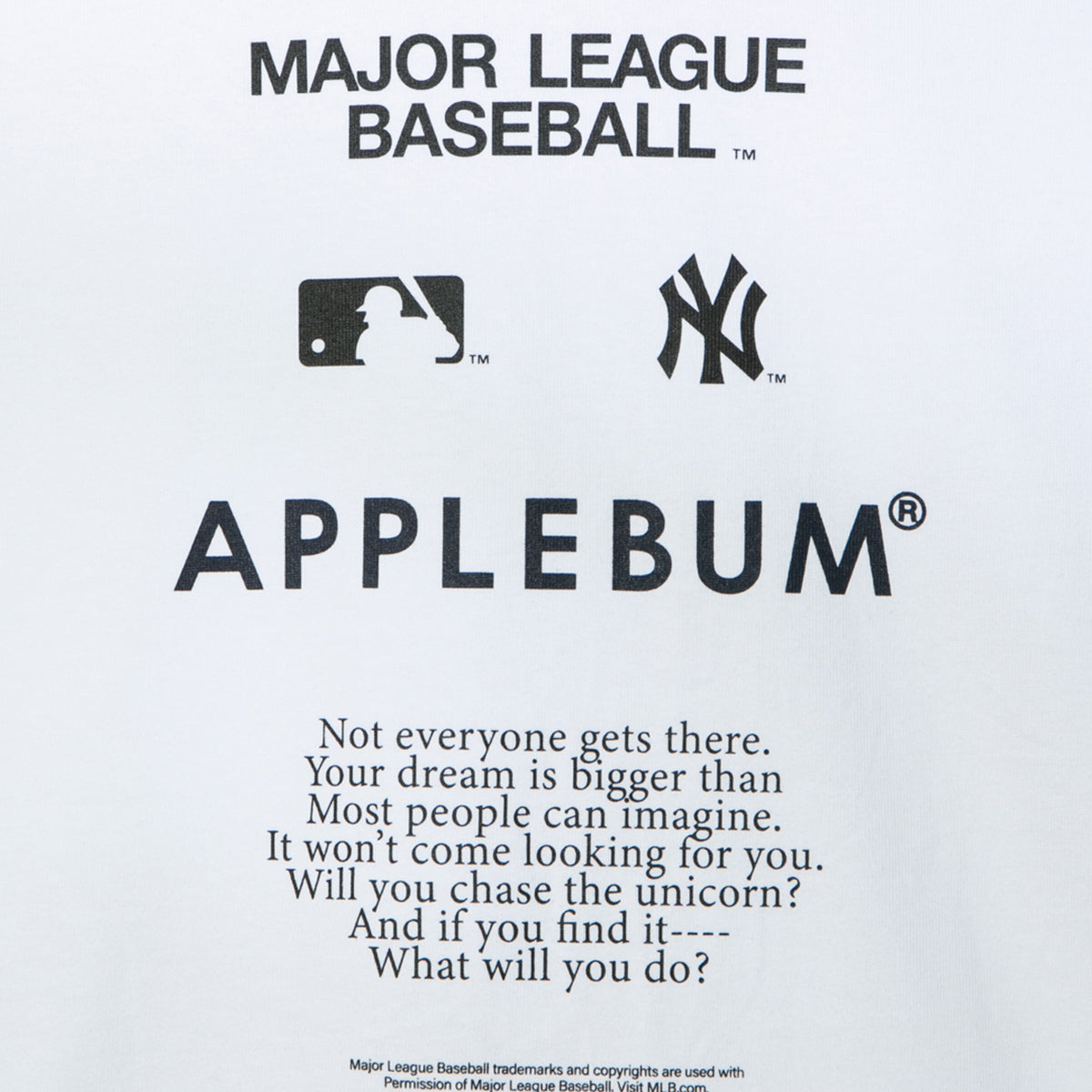 APPLEBUM “YANKEES GIRL” T-shirt アップルバム ヤンキース ガール Tシャツ ML2621109Y【メンズ 半袖Tシャツ グラフィックTシャツ プリントTシャツ カットソー クルーネック 26FW】